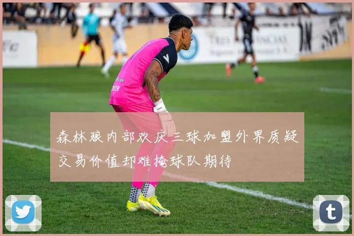 森林狼内部欢庆三球加盟外界质疑交易价值却难掩球队期待